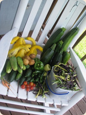 garden1